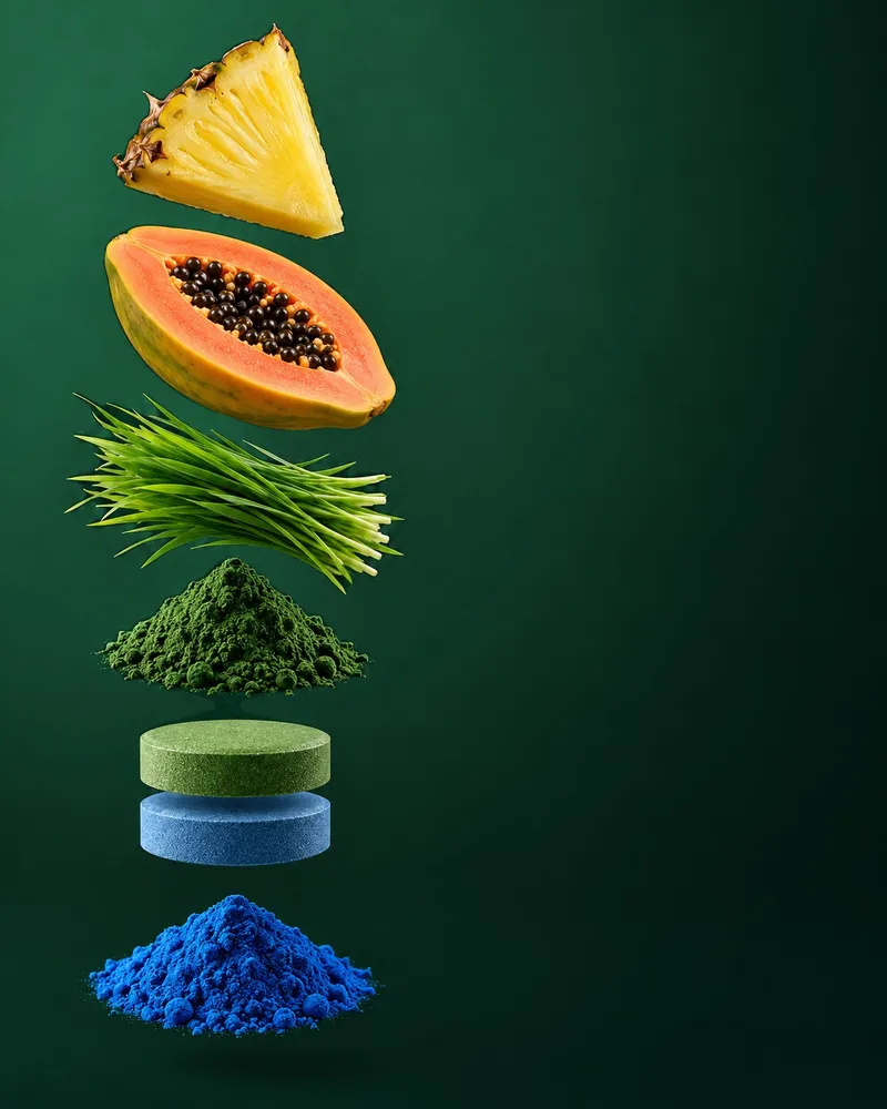SPIRO Plus ingredients: digestive enzymes, cereal grasses, chlorella, spirulina and the bilayer chewable